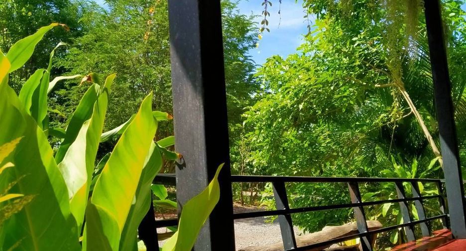 Haus zum Kauf mit 4 Zimmer in Dan Khun Thot, Nakhon Ratchasima