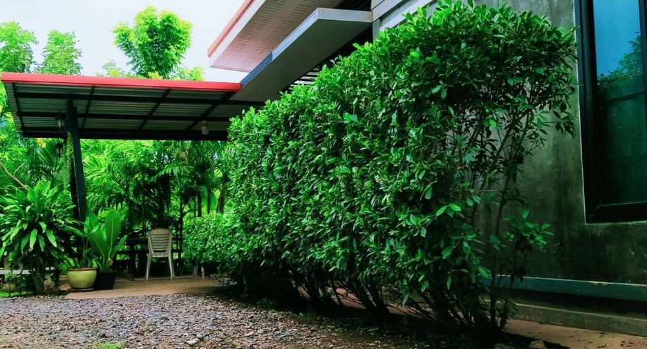 Haus zum Kauf mit 4 Zimmer in Dan Khun Thot, Nakhon Ratchasima