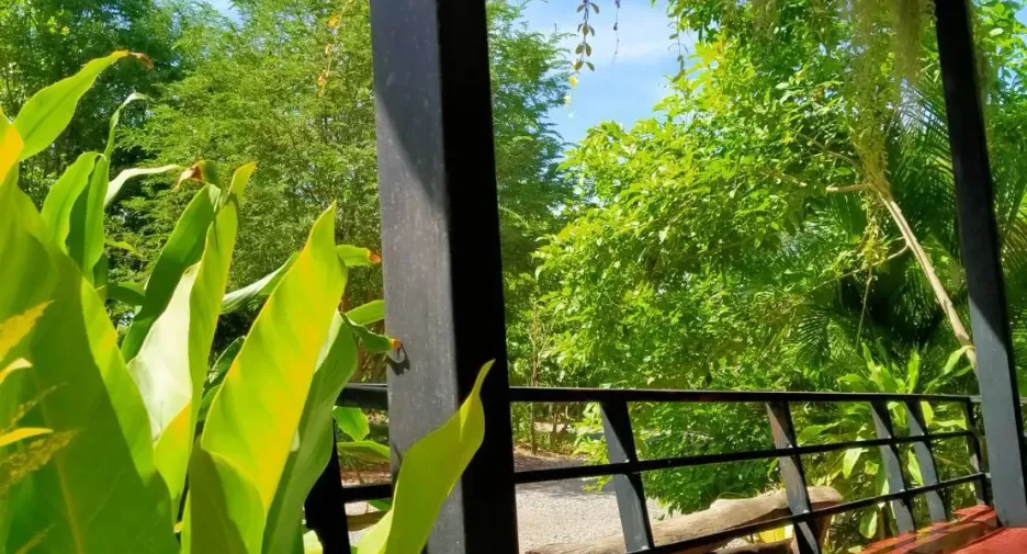 Haus zum Kauf mit 4 Zimmer in Dan Khun Thot, Nakhon Ratchasima
