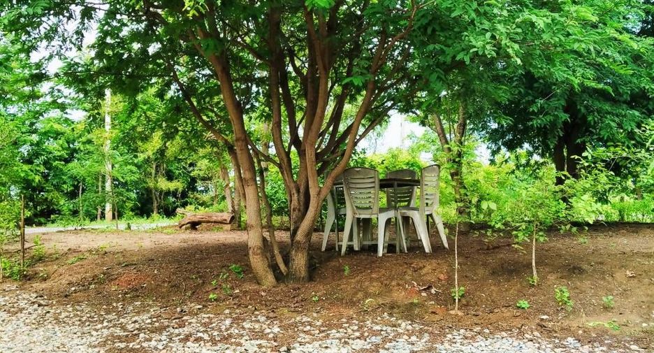 Haus zum Kauf mit 4 Zimmer in Dan Khun Thot, Nakhon Ratchasima