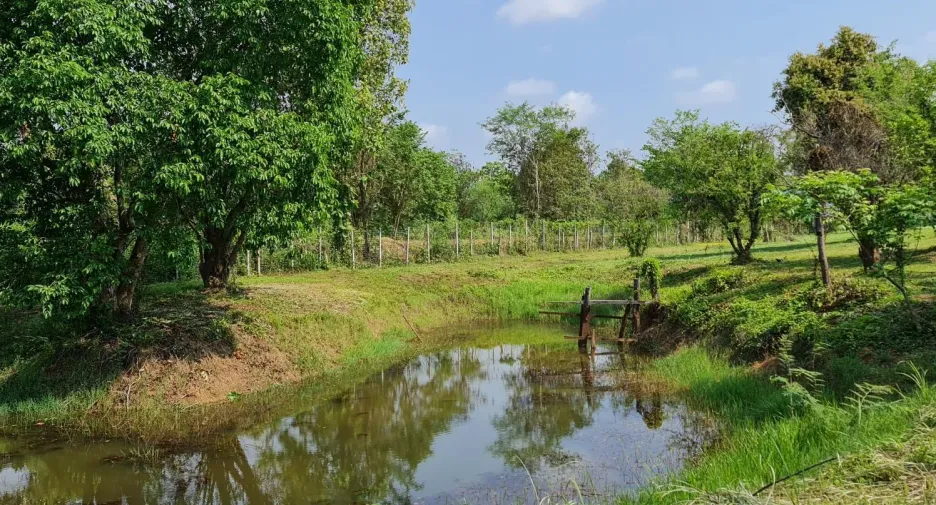 For sale land in Mueang Chiang Rai, Chiang Rai