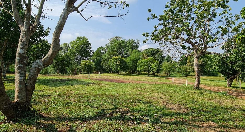 For sale land in Mueang Chiang Rai, Chiang Rai