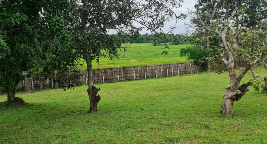 For sale land in Mueang Chiang Rai, Chiang Rai