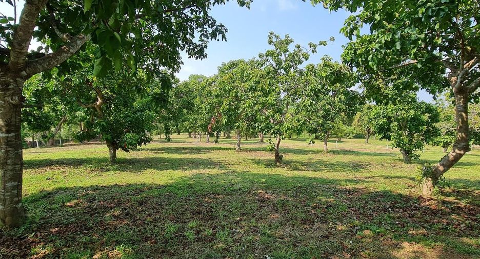 For sale land in Mueang Chiang Rai, Chiang Rai
