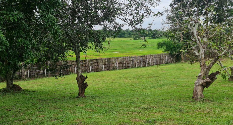 For sale land in Mueang Chiang Rai, Chiang Rai