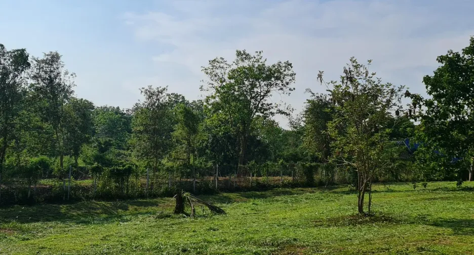For sale land in Mueang Chiang Rai, Chiang Rai