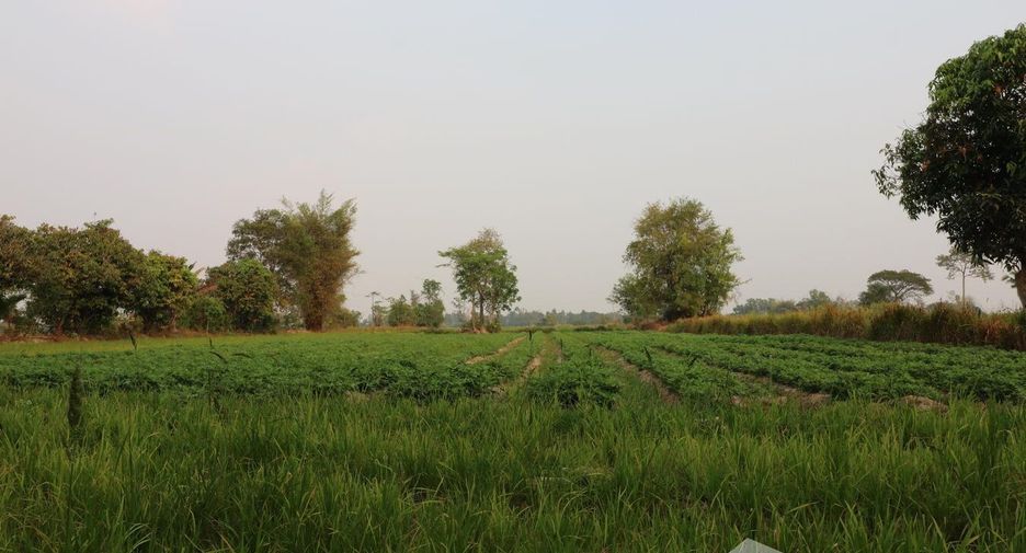 For sale land in Mueang Sakon Nakhon, Sakon Nakhon