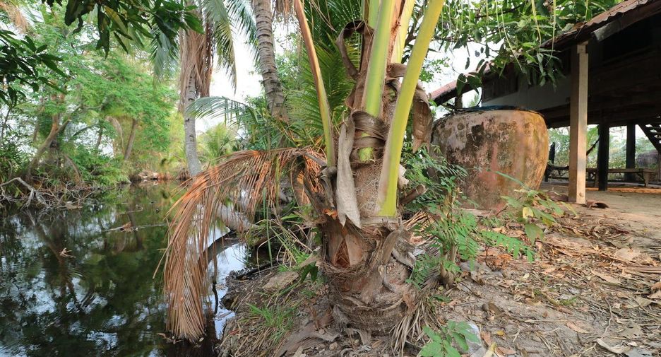 For sale land in Mueang Sakon Nakhon, Sakon Nakhon