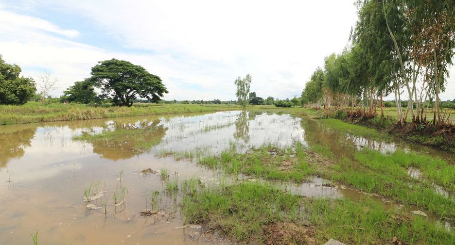 Продажа Участок в Mueang Udon Thani, Удонтани