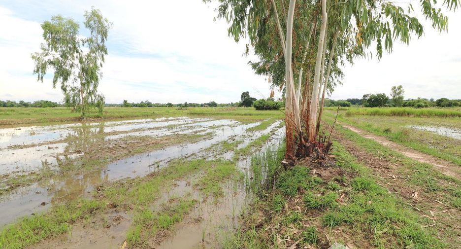 Продажа Участок в Mueang Udon Thani, Удонтани