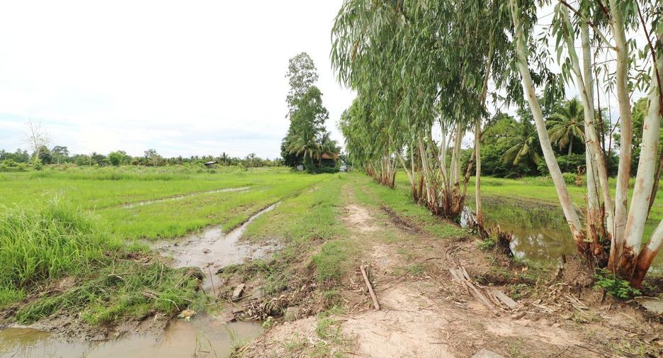 Продажа Участок в Mueang Udon Thani, Удонтани