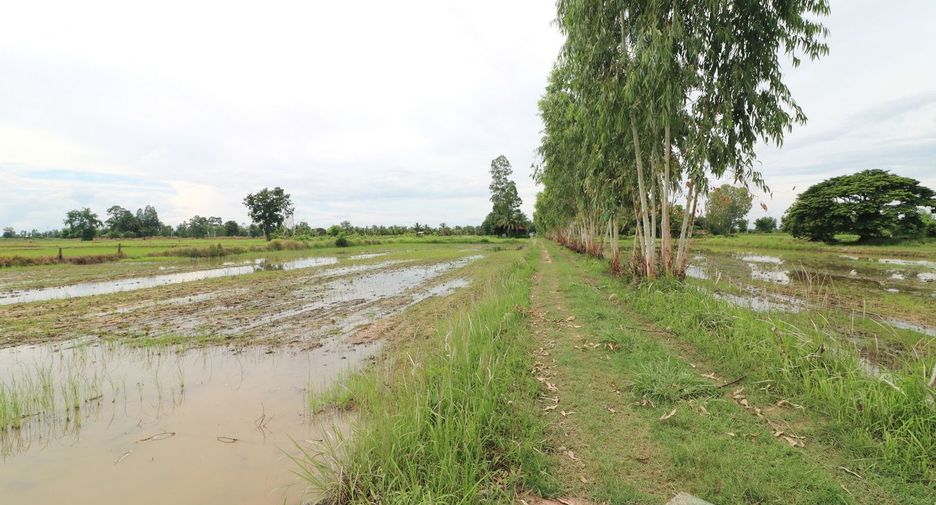 Продажа Участок в Mueang Udon Thani, Удонтани