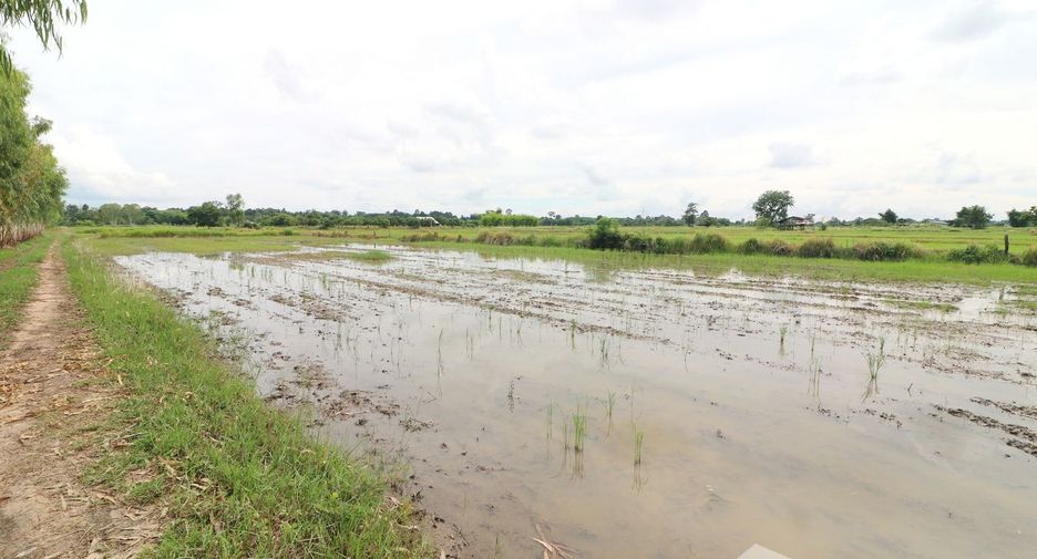 Продажа Участок в Mueang Udon Thani, Удонтани
