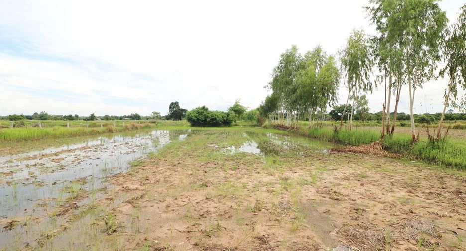 Продажа Участок в Mueang Udon Thani, Удонтани