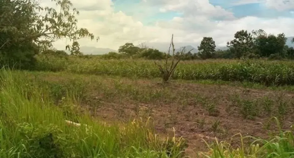 For sale land in Mueang Loei, Loei