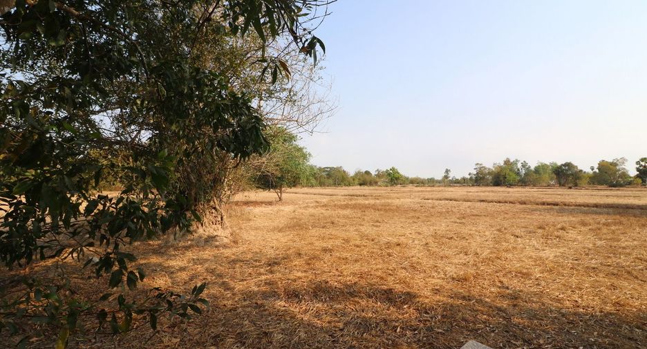 Terreno en venta en Phen, Udon Thani