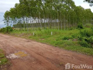出售 土地 在 Ko Chan, Chon Buri