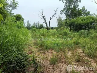 Terreno en venta en Phanat Nikhom, Chonburi