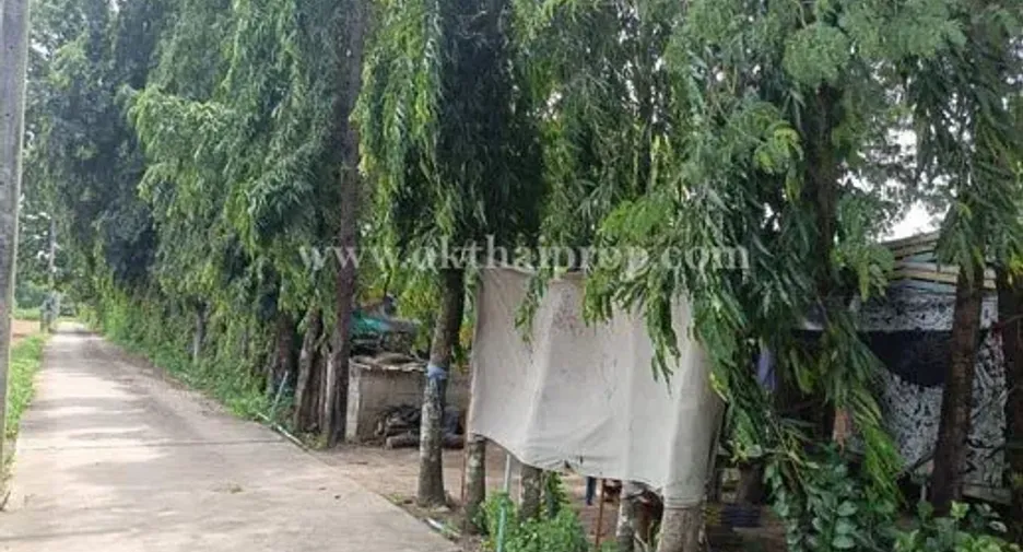 Terreno en venta en Phanat Nikhom, Chonburi