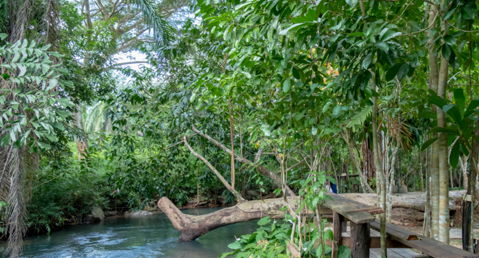 For sale land in Mueang Krabi, Krabi