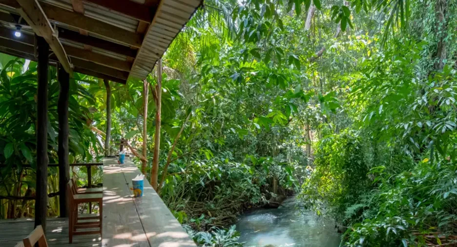 For sale land in Mueang Krabi, Krabi