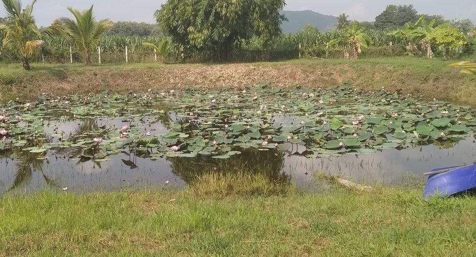 ขาย 4 ห้องนอน บ้านเดี่ยว ใน ท่าม่วง, กาญจนบุรี