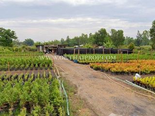 Grundstück zum Kauf in Ongkharak, Nakhon Nayok