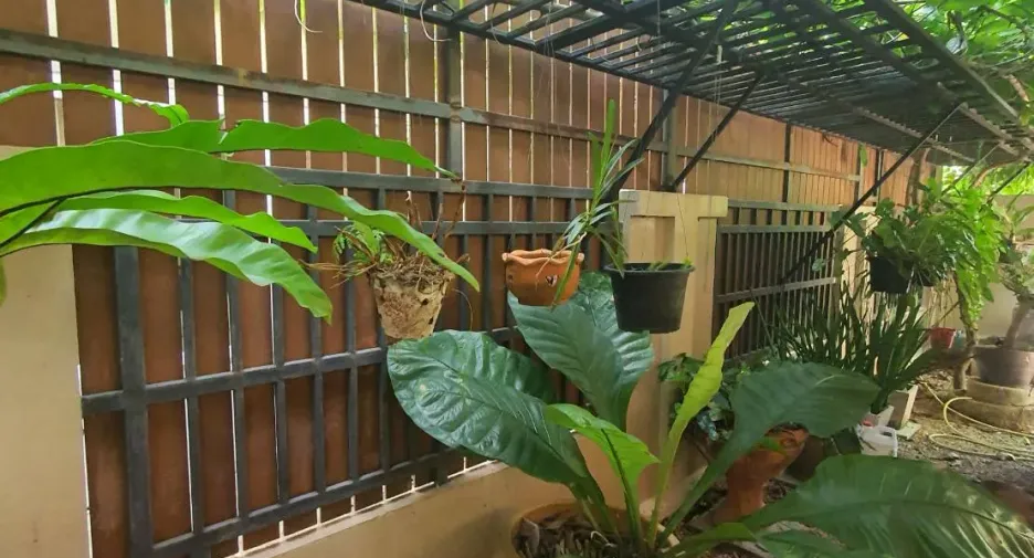 For sale 6 bedrooms house in Mueang Phuket, Phuket