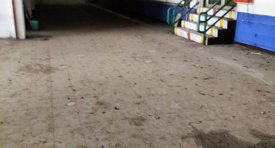Local comercial en venta y en alquiler en Lam Luk Ka, Pathum Thani