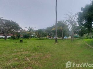 For sale land in Mueang Phuket, Phuket