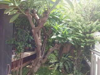 For sale 3 ベッドルーム house in Nong Khaem, Bangkok