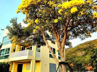 For sale 2 bedrooms house in Mueang Prachuap Khiri Khan, Prachuap Khiri Khan