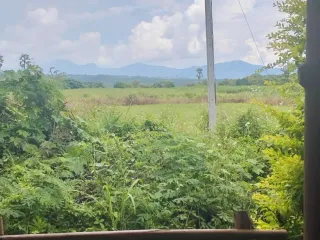 For sale 2 bedrooms townhouse in Mueang Lampang, Lampang