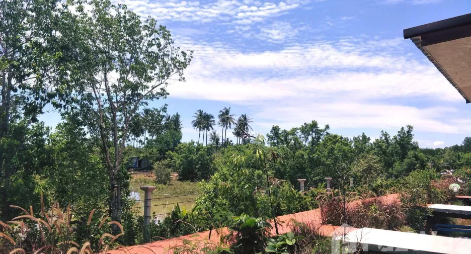 For sale and for rent 1 bed villa in Ko Lanta, Krabi