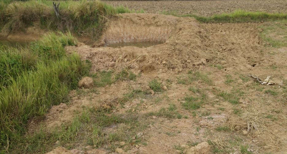 For sale land in Chamni, Buriram