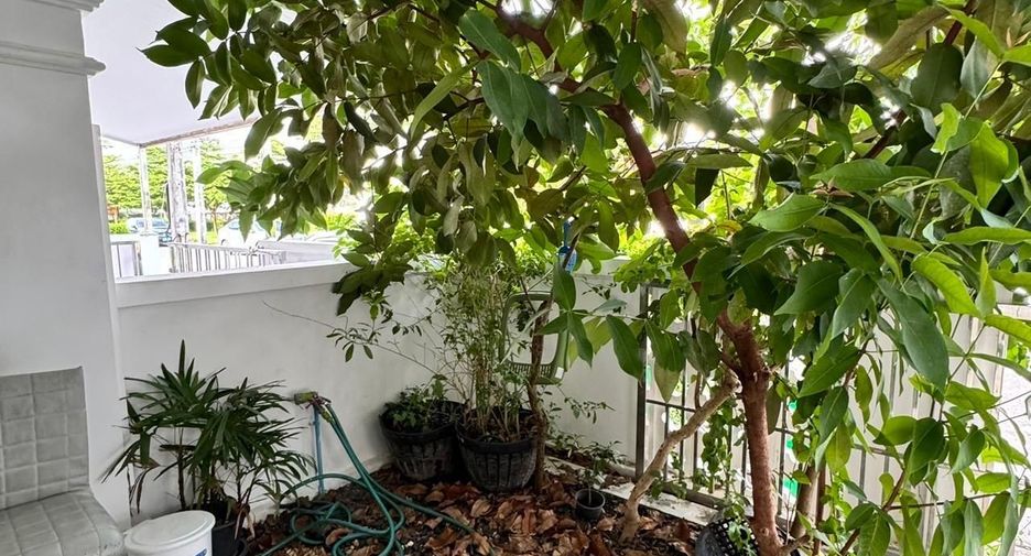 For rent 3 bedrooms house in Mueang Phuket, Phuket