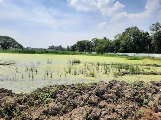 For sale land in Sai Mai, Bangkok