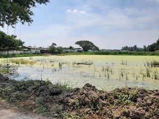 For sale land in Sai Mai, Bangkok