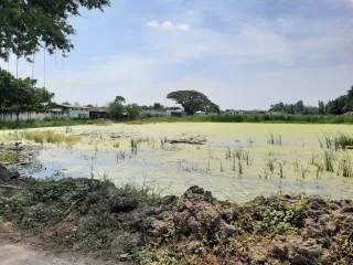 出售 土地 在 Sai Mai, 曼谷