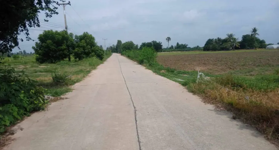 For sale land in Nong Ya Sai, Suphan Buri