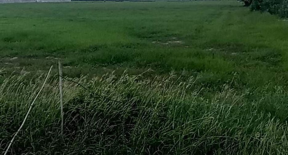 Grundstück zum Kauf in Nong Ya Sai, Suphan Buri