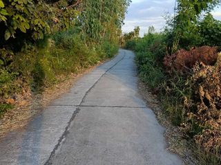 For sale land in Phimai, Nakhon Ratchasima