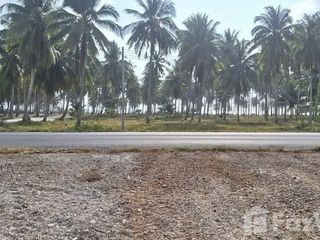 For sale land in Khanom, Nakhon Si Thammarat