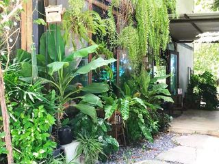 Продажа 6 спальни дом в Nong Khae, Saraburi