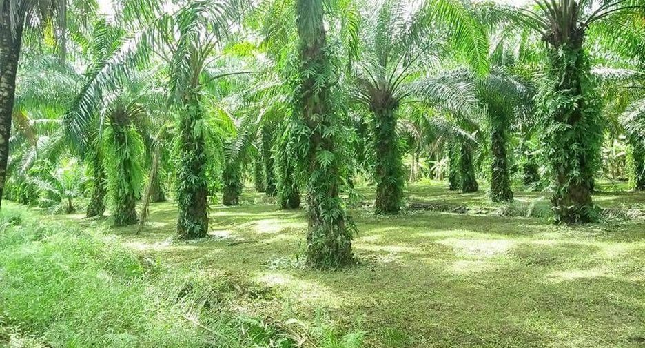 For sale land in Mueang Chumphon, Chumphon