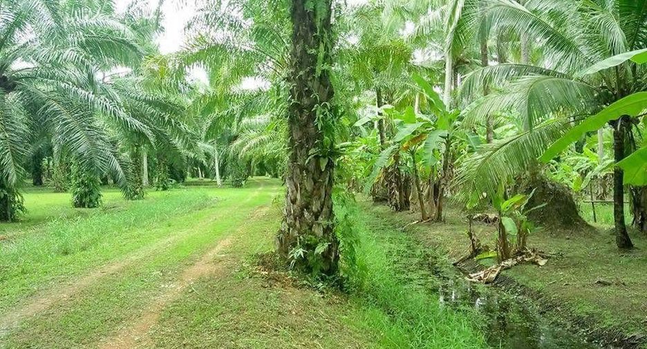 For sale land in Mueang Chumphon, Chumphon
