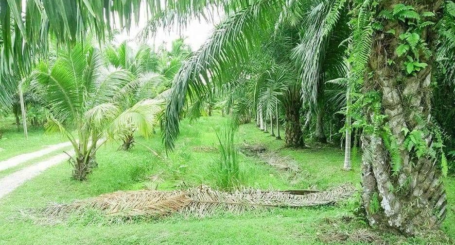 For sale land in Mueang Chumphon, Chumphon