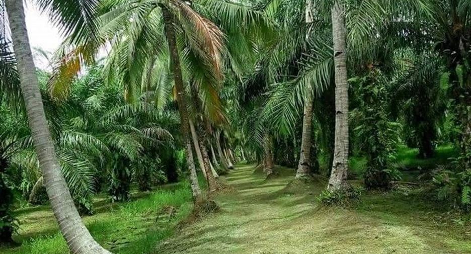 For sale land in Mueang Chumphon, Chumphon