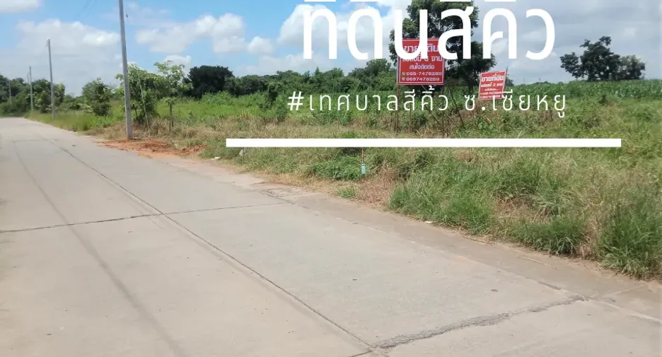 Grundstück zum Kauf in Sikhio, Nakhon Ratchasima
