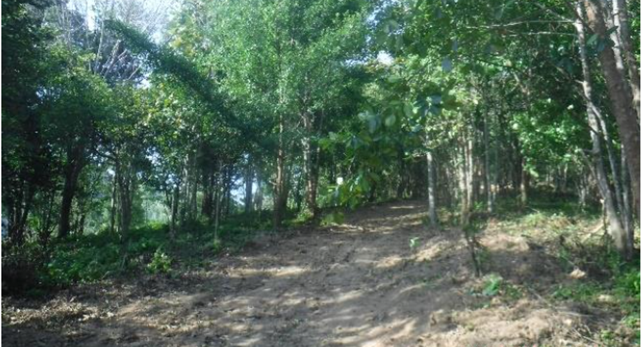 ขาย ที่ดิน ใน ถลาง, ภูเก็ต